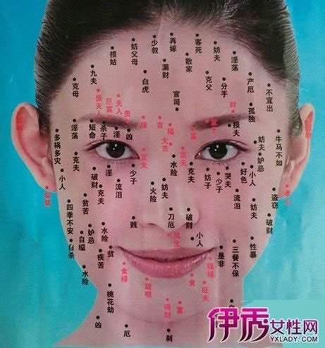 面相學女|面相特徵看女生好命嗎？痣、法令紋、眉毛解析